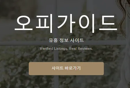 오피가이드 1