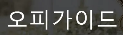 오피가이드 1
